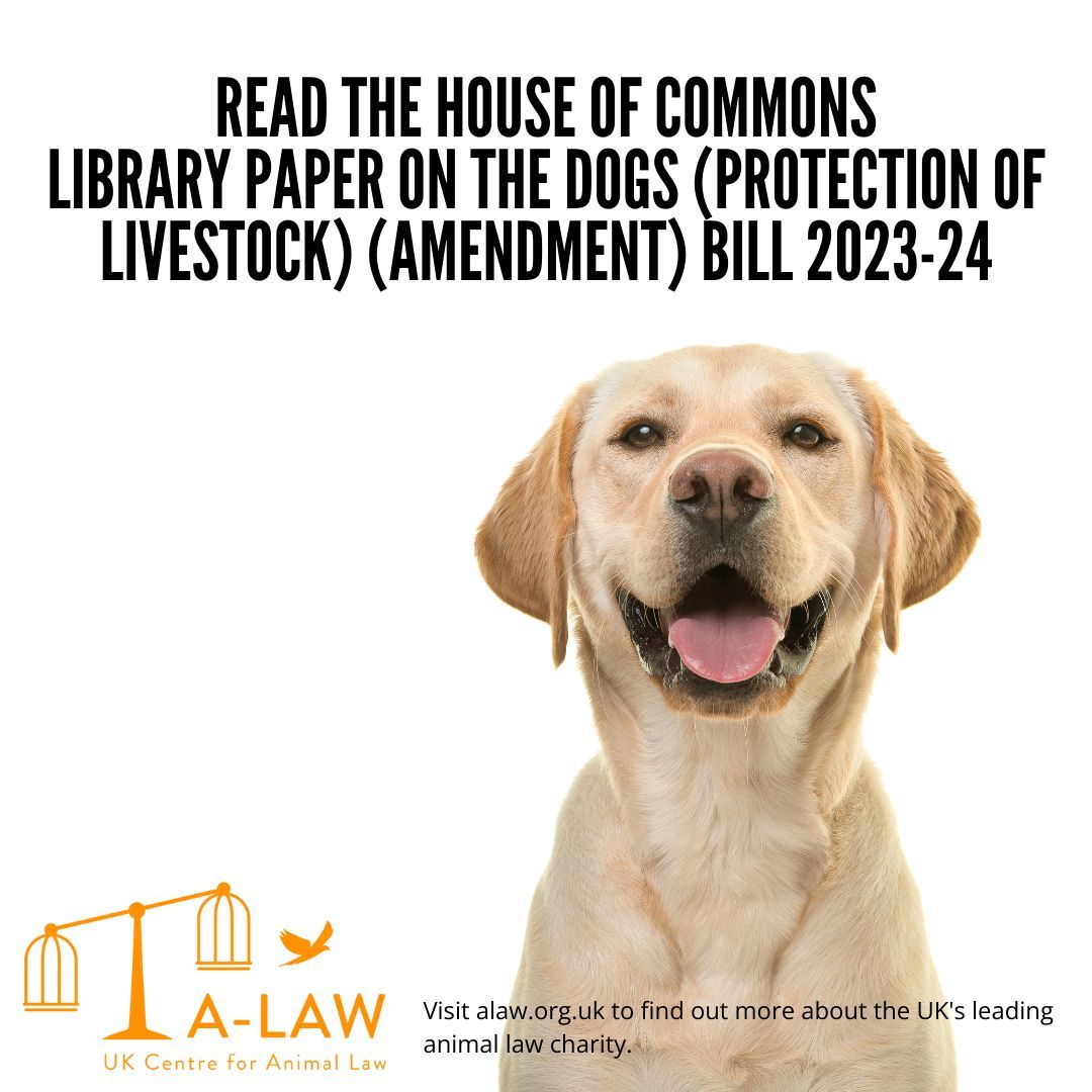 The House of Commons Library have published a briefing paper on the Dogs (Protection of Livestock) (Amendment) Bill 2023-24. You can read the paper here: buff.ly/3SPkLPu