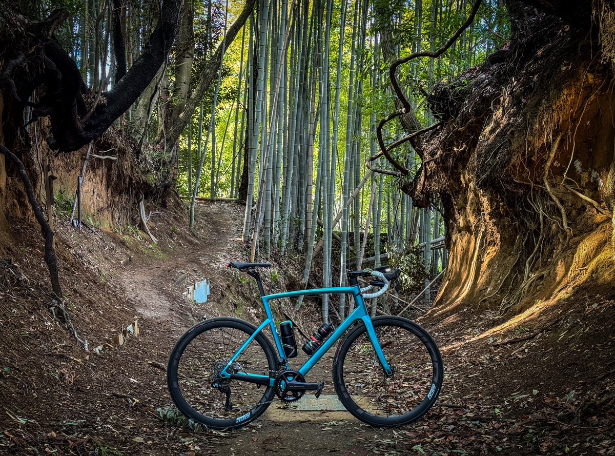 v_x_r_s's tweet photo. 関谷の切通し、良いですよね #chapter2bikes #chapter2toa https://t.co/FiLC3deYp0