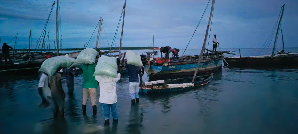 FAOMozambique tweet picture