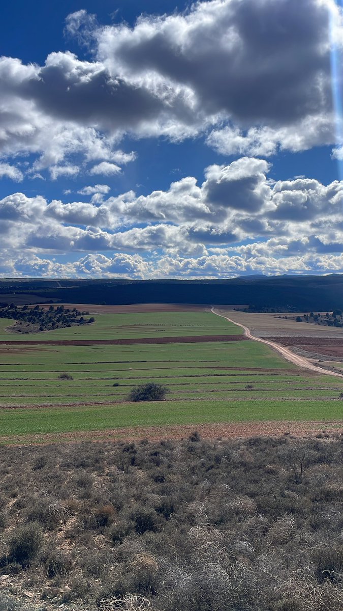 Se acerca una de las épocas del año más bonitas del campo Turolense. 

Por cierto, ojo el frío que hace