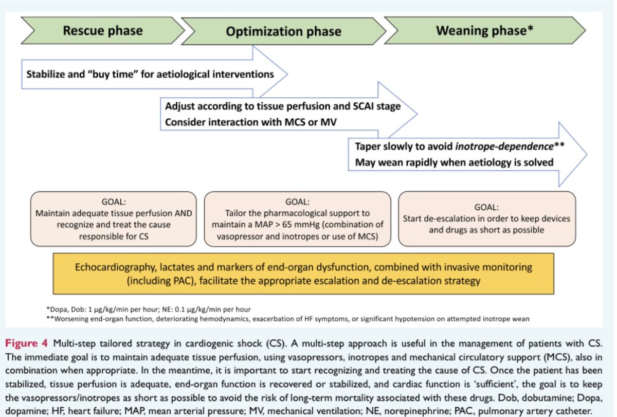 🔴 Medical therapy of cardiogenic shock: Contemporary use of inotropes and vasopressors #2024Review onlinelibrary.wiley.com/doi/abs/10.100… #cardiology #CardioTwitter #CardioEd