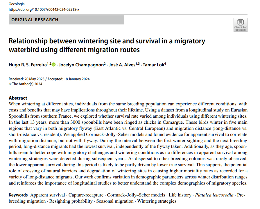 _HugoSFerreira_'s tweet photo. Happy that the first paper of my thesis is out in #oecologia! 

"Relationship between wintering site and survival in a migratory waterbird using different migration routes"

https://t.co/lYAq3KvSBY (1/7) https://t.co/IhSjVIs126