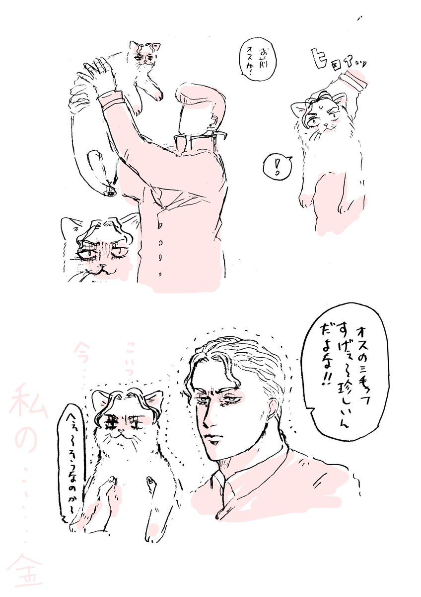 猫よしかげ、災難の巻。 