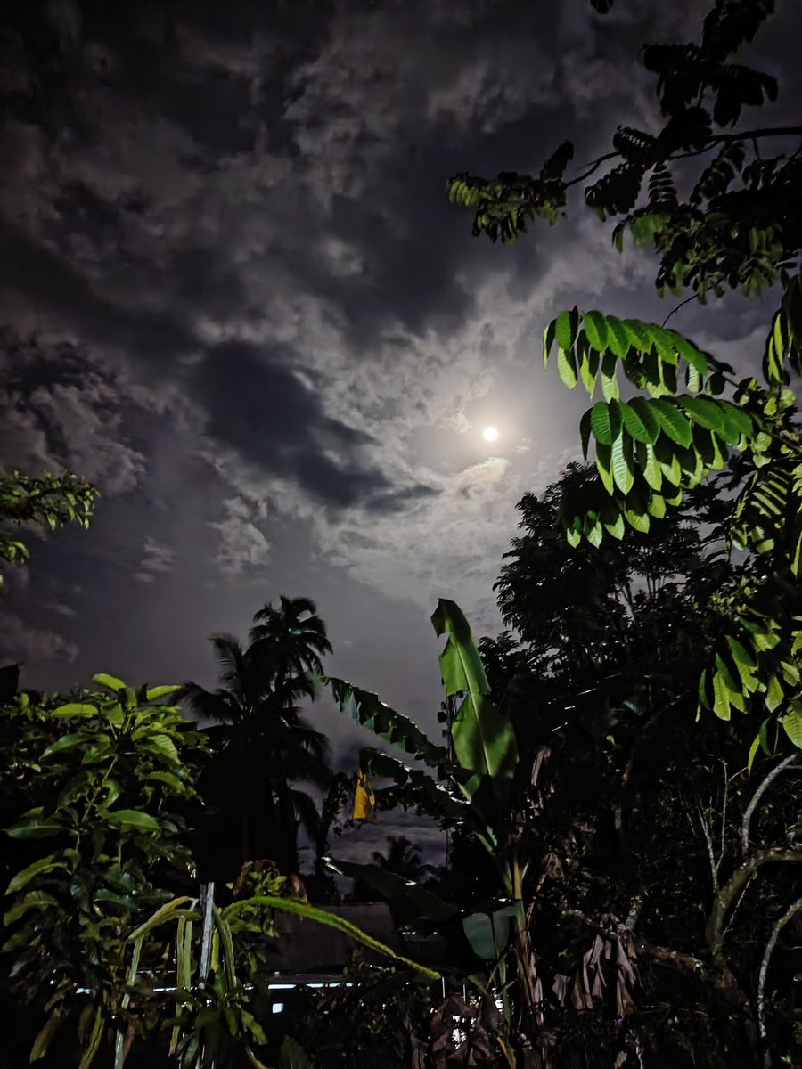 Fizi Syopian tweet media