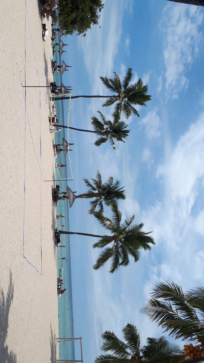 chainiece's tweet image. You can always find me where the sand meets the water #lowtide and #lowexpectations #mulki