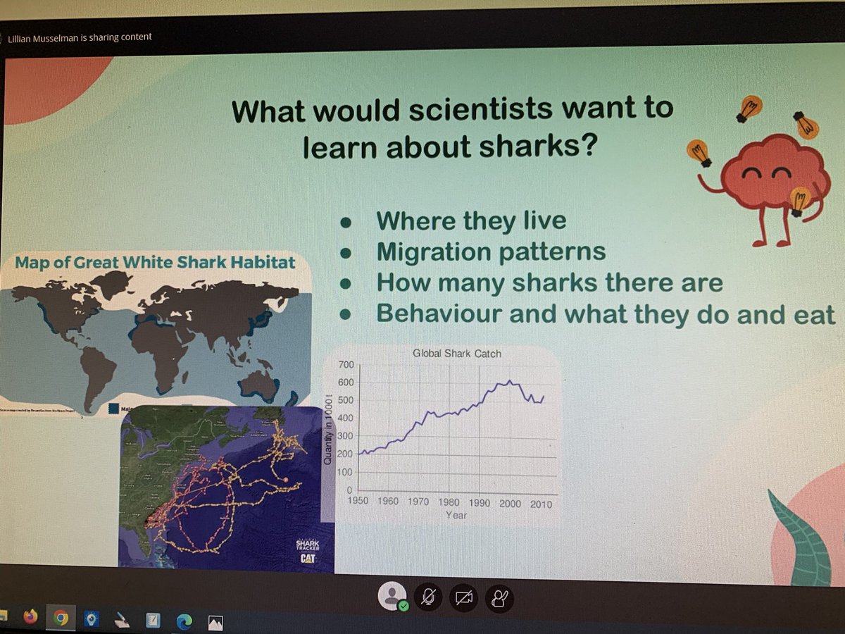 Thank you <a href="/SuperNOVAatDal/">SuperNOVA</a> for the workshop on tracking sharks 🦈!  How cool! <a href="/RockyElementary/">Rocky Lake Elementary</a>
