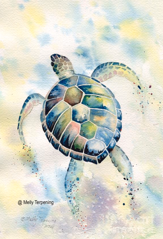 -'Sea Turtle 3'- fineartamerica.com/featured/sea-t…
#seaturtle #wildlife #watercolor #watercolorpainting #watercolour #nurseryart #painting #art #underwater