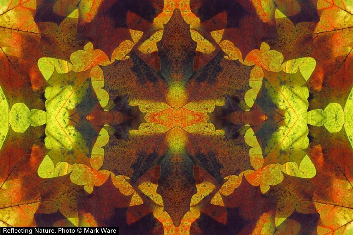 📣 Volunteer opportunity 📣  

Keen to be a part of creating a country transformed by culture? 🔃  

We are looking to appoint 2 independent members to our Performance and Audit Committee. 

Find out more and apply by 5pm on 6 March 🗓️   

buff.ly/48qGTp3