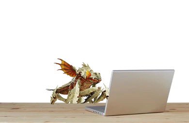 SlothMode4Days's tweet image. 