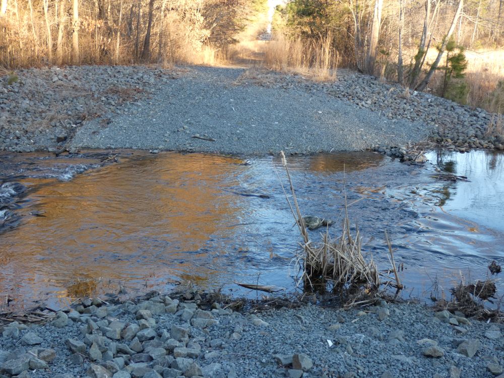 Unexpected Wildlife Refuge tweet media