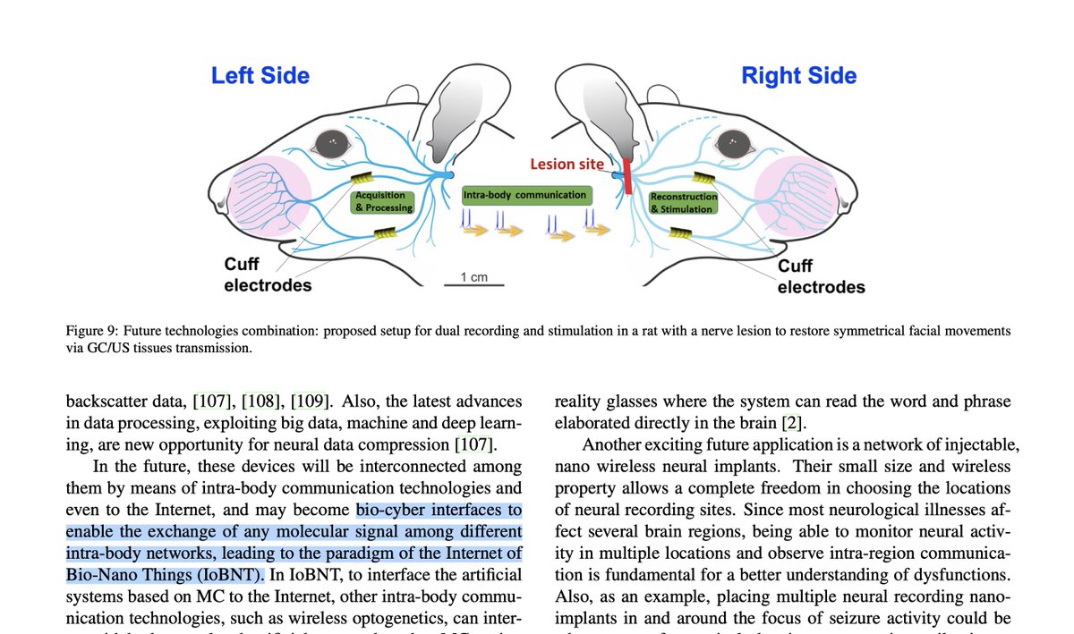 CorinneNokel's tweet photo. 'A wireless optogenetic unit can act as a Bio-Cyber interface that enters information into the brain'
#BioCyberInterface
#IntraBodyCommunication
#IntraBodyNanoSenorNetwork
#MolecularCommunication
#InternetofBioNanoThings
#OptogeneticInterface https://t.co/t3OTsIuy0h