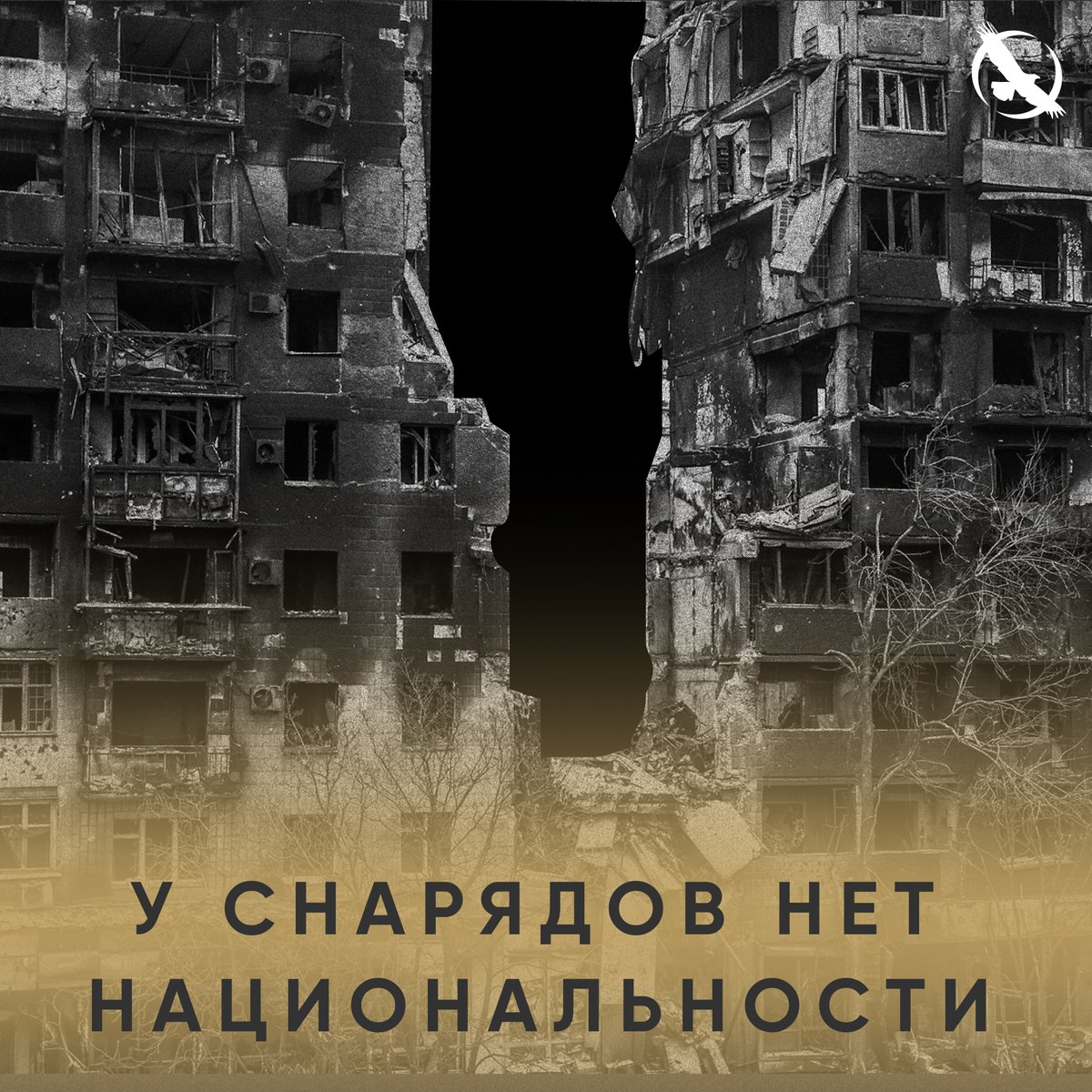 lpr_tw's tweet photo. 🕊️ https://t.co/r1eWO1rGDE
