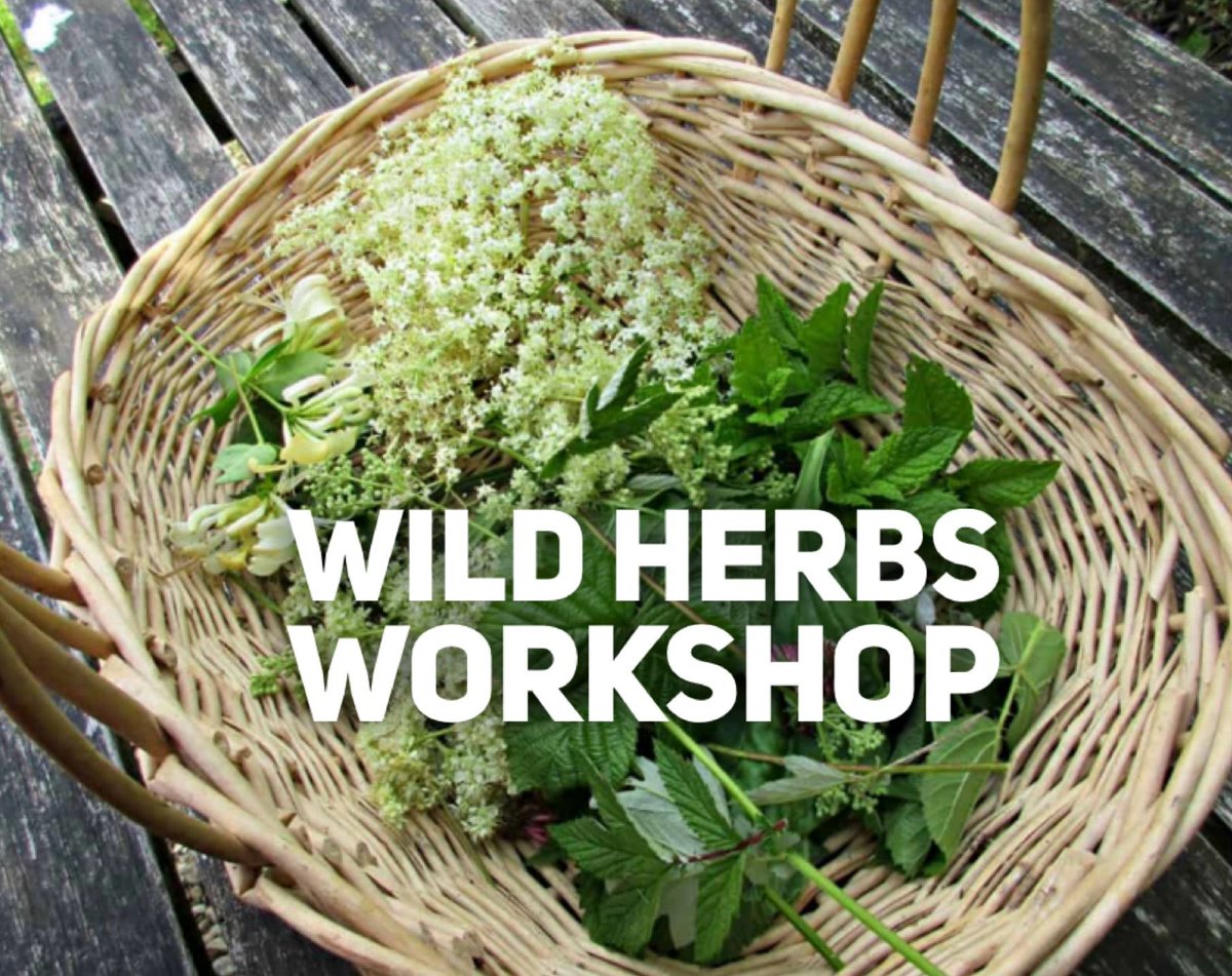 WORKSHOP // The Secret of Aromatic Herbs: Health, Pleasure and Beauty with Officinal (Medicinal) Herbs. During this workshop we will discover the main medicinal herbs of the Mediterranean and their uses in cooking and our daily life. #ParabereForumRoma