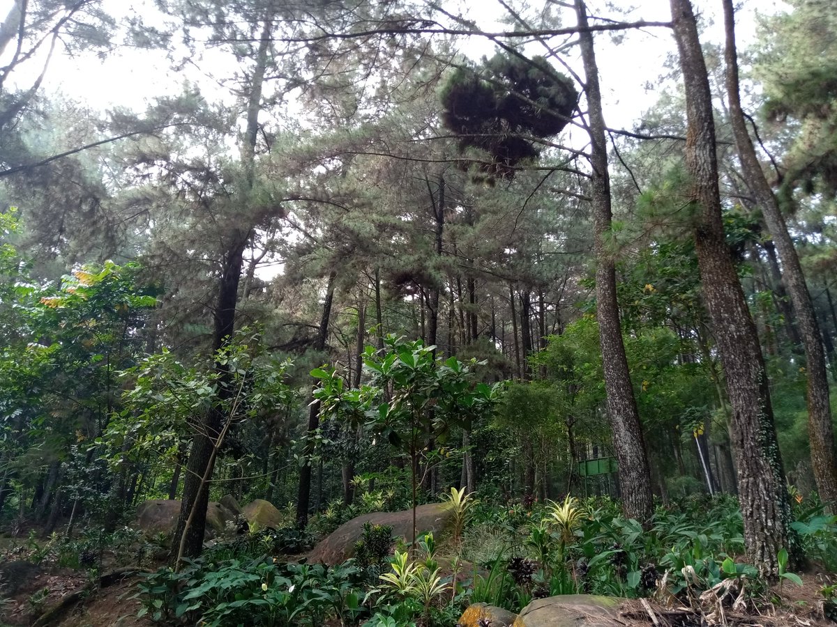 TilisUbmam tweet media