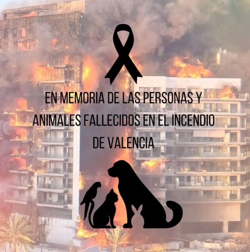MarienBaker's tweet photo. 10 personas, 48 perros y 36 gatos es el número de muertos tras el incendio en mi ciudad, porque sí, esos animales que han fallecido también importan 💔

Todo mi cariño a las familias, y mi agradecimiento al servicio de bomberos 🙏🏻  #Valencia #Campanar https://t.co/ajUz8TJbo6