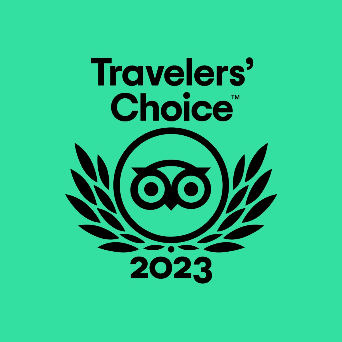SpaBeer's tweet photo. We Did It! Thanks to You, We Won a Tripadvisor Travellers' Choice Award!
Don't wait, book your next visit today and join us in creating another year of magic! 📷
#TravelersChoice #ThankYou #Tripadvisor #AwardWinning #BestOf #LetsDoItAgain #ExperienceTheDifference
#GoodBeerSpa! https://t.co/C0LVZhna9n