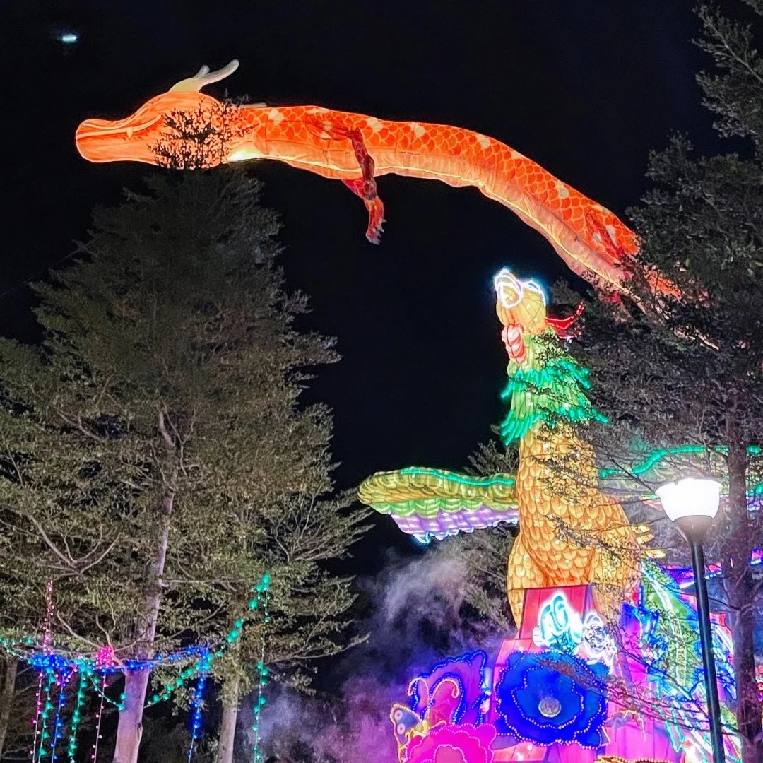 Gkuber's tweet image. 仏光山2024年春節平安灯会