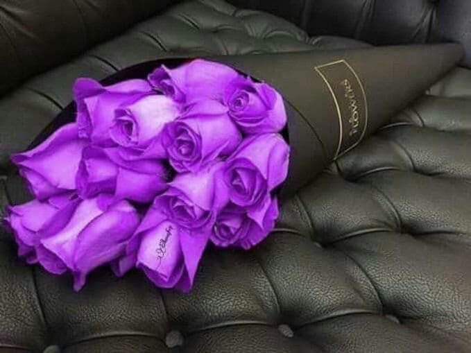 #EagleOfIslam
10 رجب المرجب یومِ عرس صحابی رسول حضرت سلمان فارسی رضی اللہ تعالی عنہ
زیادہ سے زیادہ ایصال ثواب کیجئے..