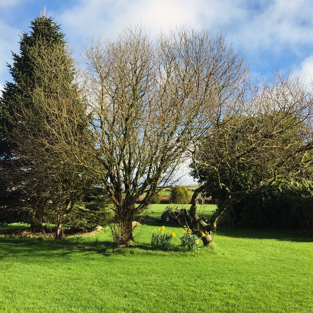 Sunshine and daffodils at @menafarm today (in between the showers obvs!) 😎

#menafarm #glampingcornwall #glampingincornwall #campinglife #campingwithdogs #familycamping #campingcornwall #campsitesincornwall #campingincornwall #visitcornwall #glampsitesincornwall #tentlife