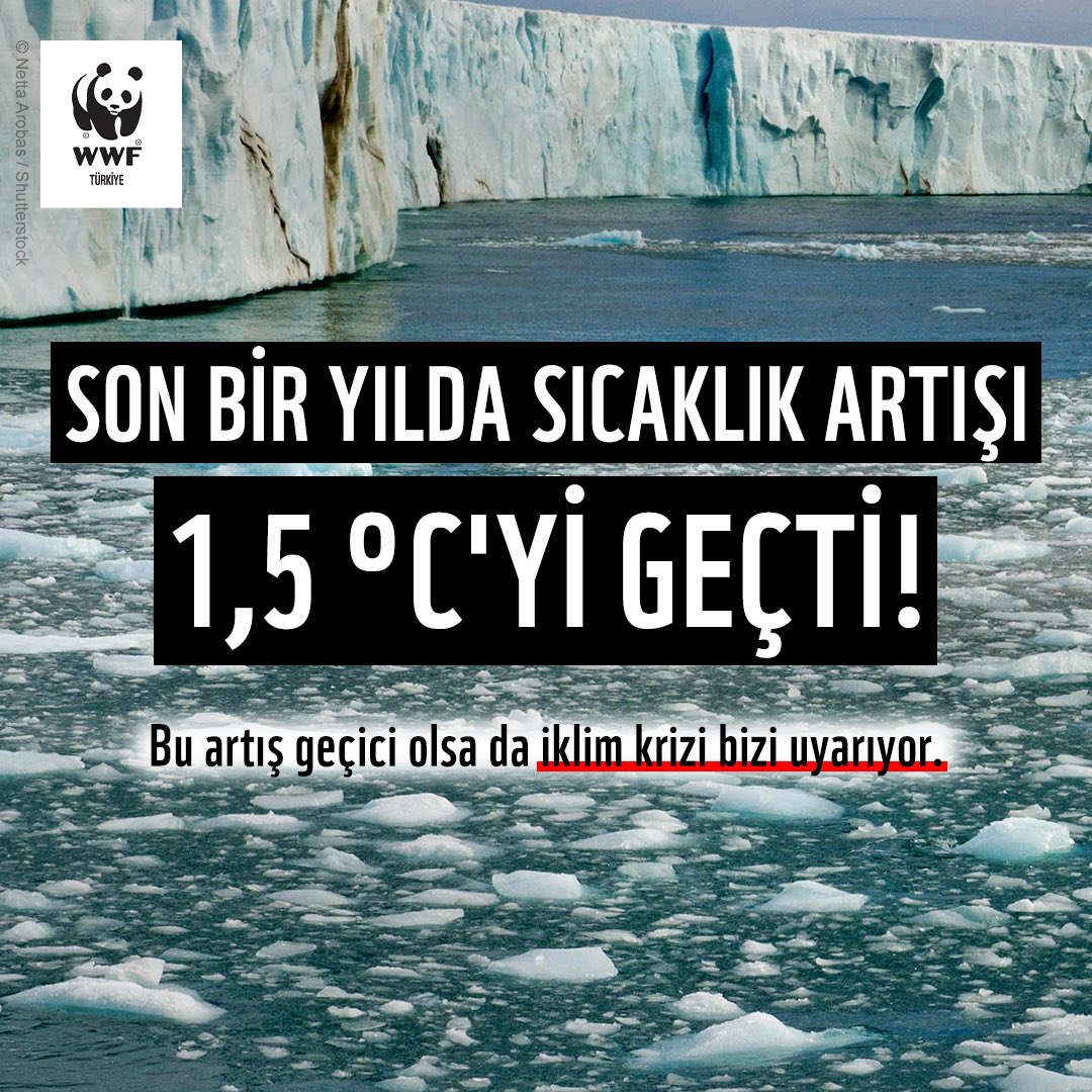 Avrupa Birliği’nin Uzay Programına bağlı Dünya Gözlem Birimi Copernicus'un verilerine göre son 12 ayın yüzey sıcaklık ortalaması artışı sanayileşme öncesi seviyeye kıyasla 1,5 °C'yi geçti. Bu geçici artışta normal bir iklim fenomeni olan El Niño’nun etkisi de var.