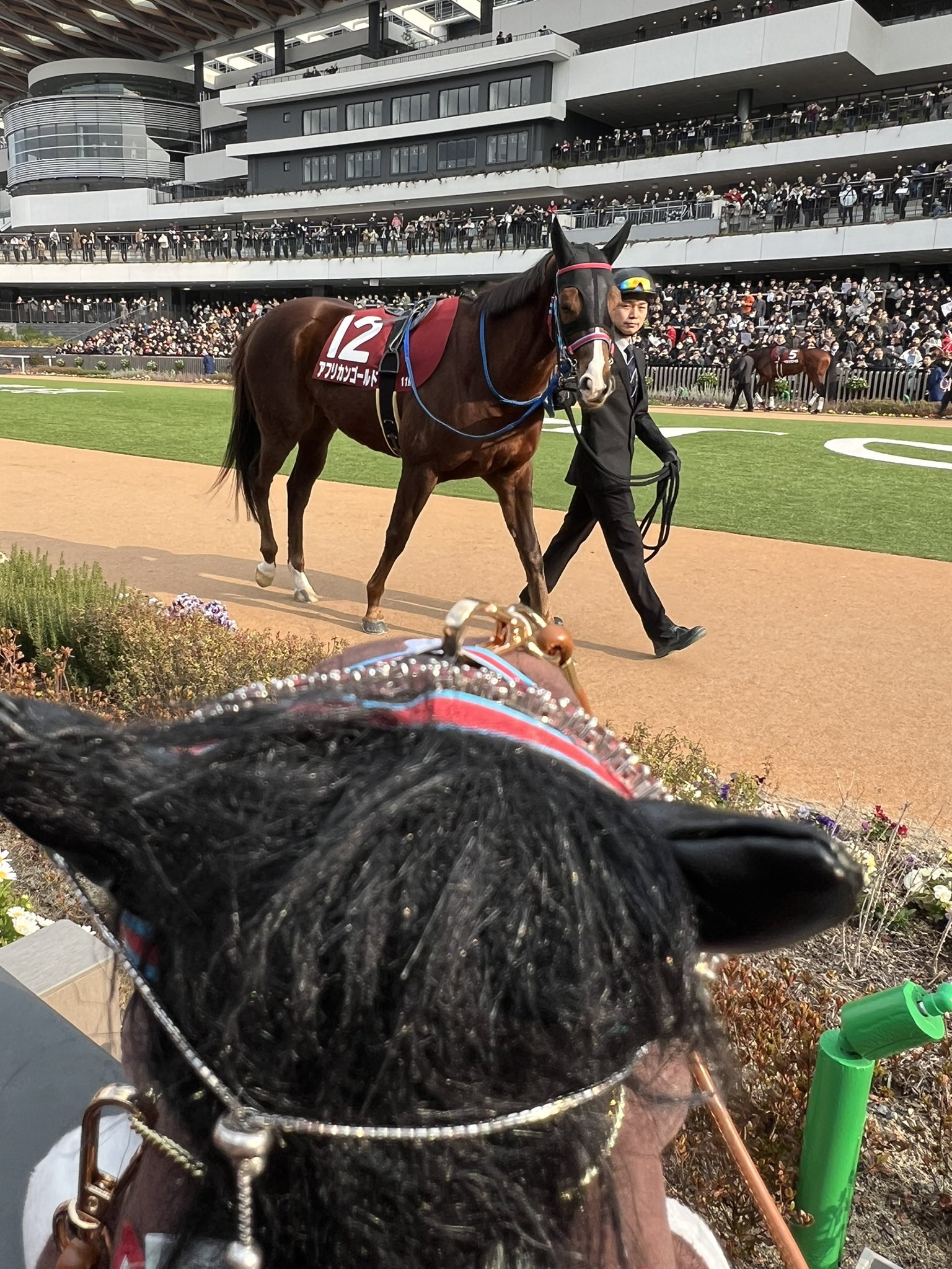競馬の極み X2DQ6YFUV5JWLCMHDQ52ZKCELA.jpg