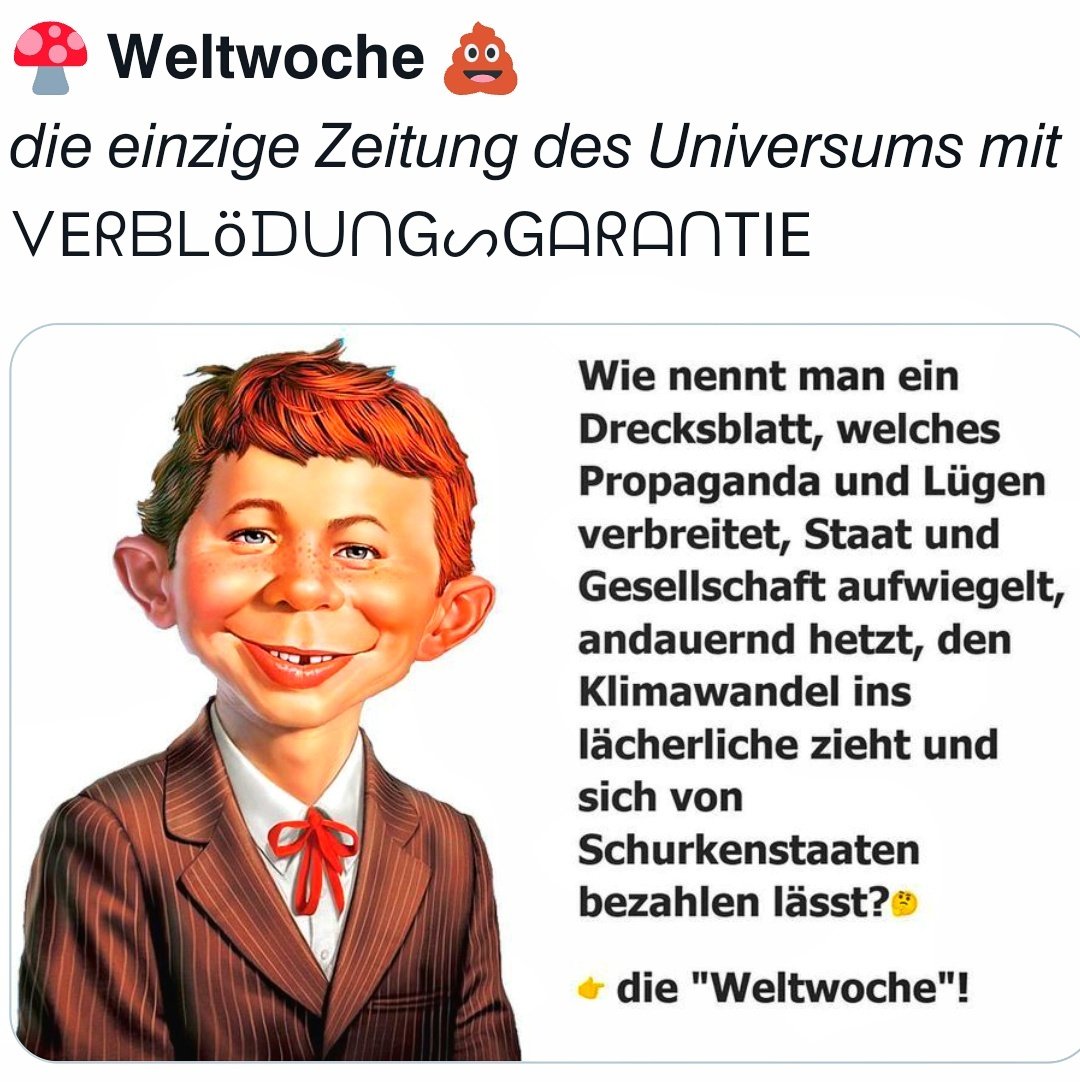 FischerBieneMaj's tweet image. 