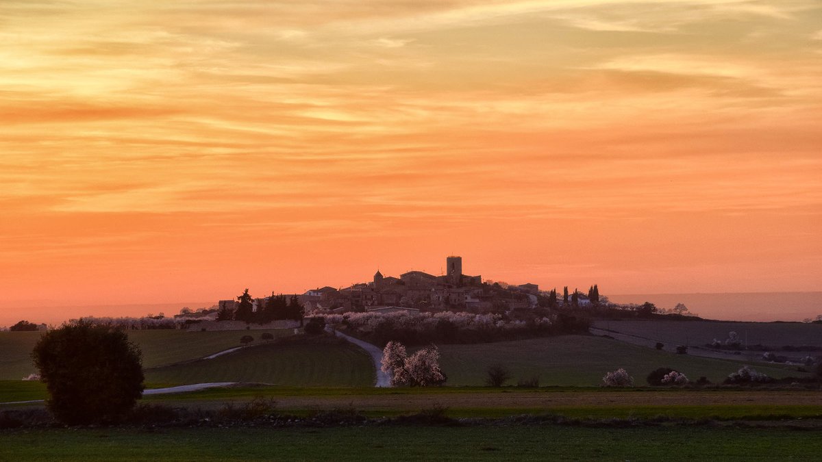 Un tomet a l'hora baixa pels blancs de @lasegarra , flaires de #primavera, #boncapdesetmana
@aralleida @catexperience @descobrircat @SomSegarra @Turisme_Segarra @caminsnatura @lasajolida @viladetora @valldellobregos