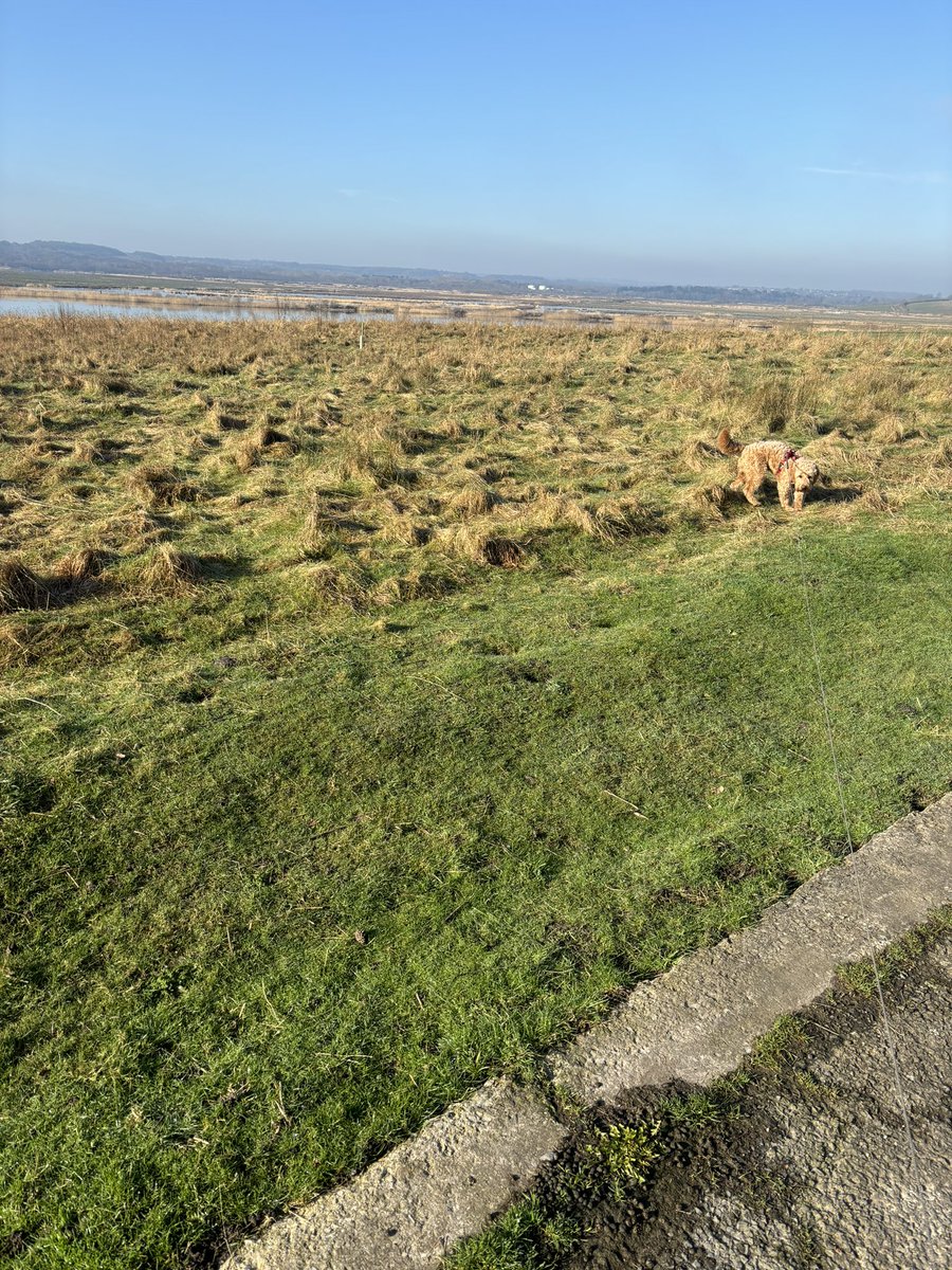 Fresh morning walk today, blowing away the stresses of the week 🌬️so lucky to have this on our doorstep!