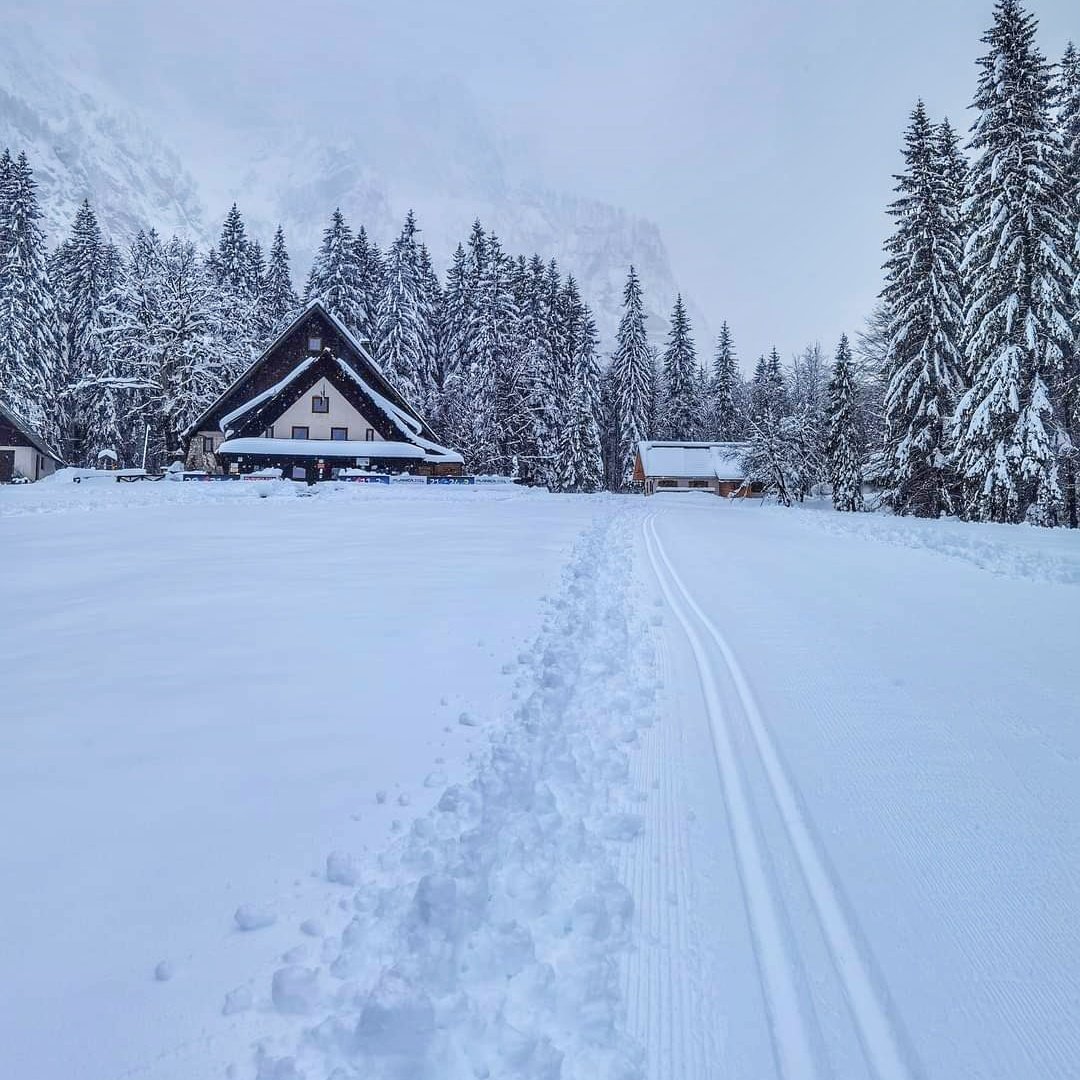 Današnji Tamar ☃️ 🤩.Od Planice do koče v Tamarju je ponovno urejena tekaška proga. 👏 @KranjskaGora @SloveniaInfo @PlanicaNordic