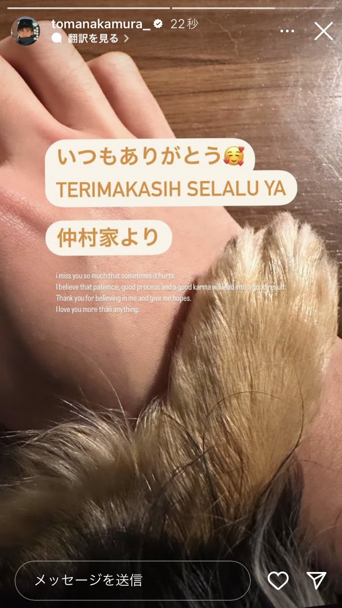 LemonS214's tweet photo. 冬馬くん
もしかして新しい家族🐕かな
温かいもの食べて、健康でね✨ https://t.co/ff0FG90FhN