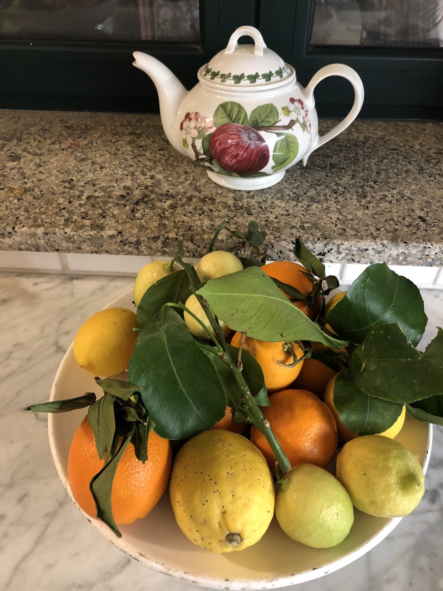 Natura viva! 
Bello ricevere dai vicini  un cesto di agrumi 🍋🍊🍋