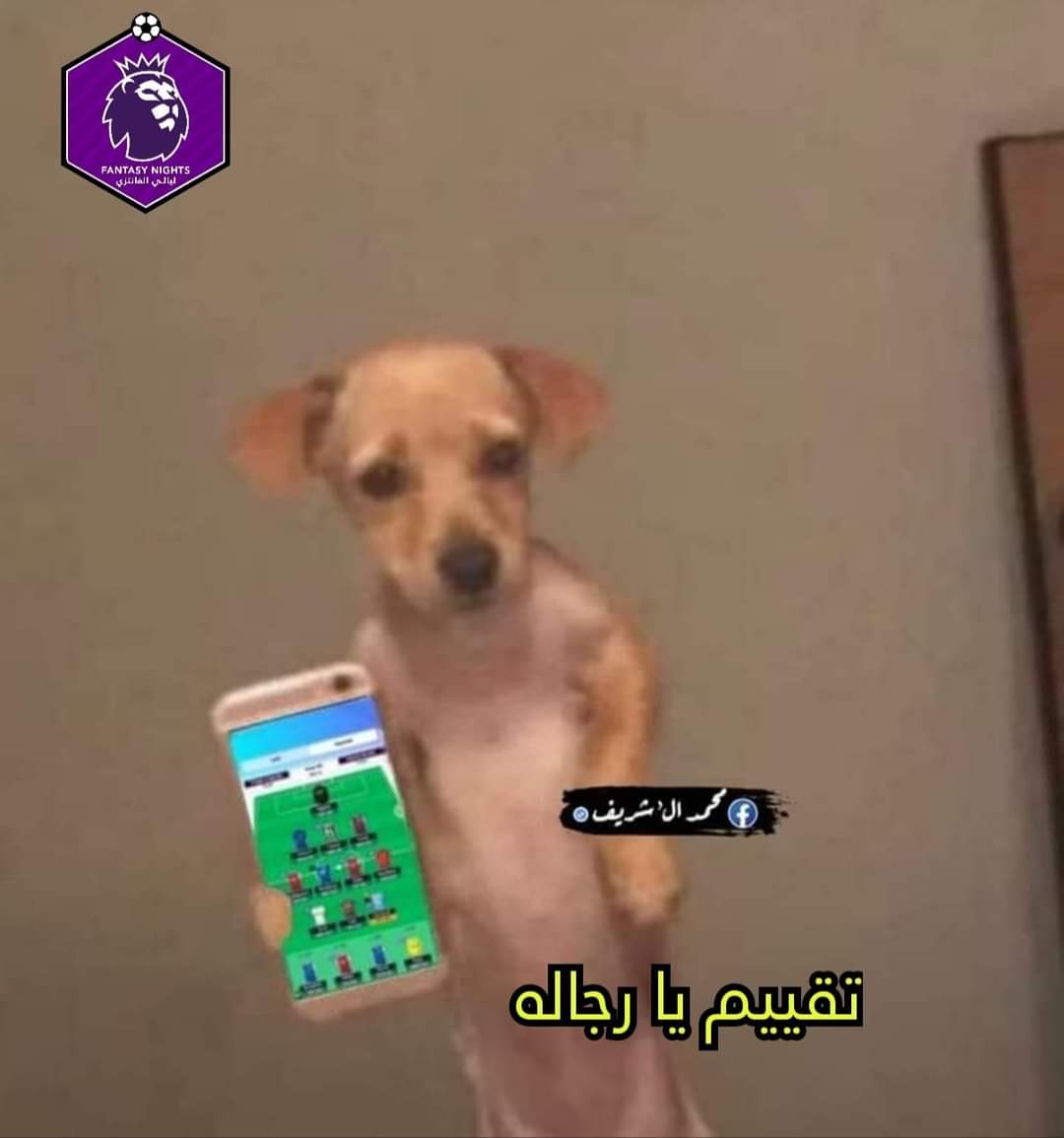 elra3y_fpl's tweet photo. 6 days ago : ابقي كلب لو لعبت اللعبه دي تاني 

انا قبل الديدلاين : https://t.co/Q9F7GdEZ1T