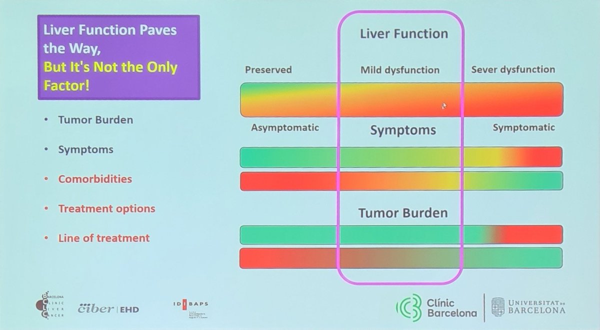 @ma5RN on systemic treatment for impaired liver function: a few data, consider not only function but also related symptoms, line of treatment and tumor burden! #livercancersummit @BCLC_group @EASLedu WE SHOULD THINK ABOUT PATIENT ❕