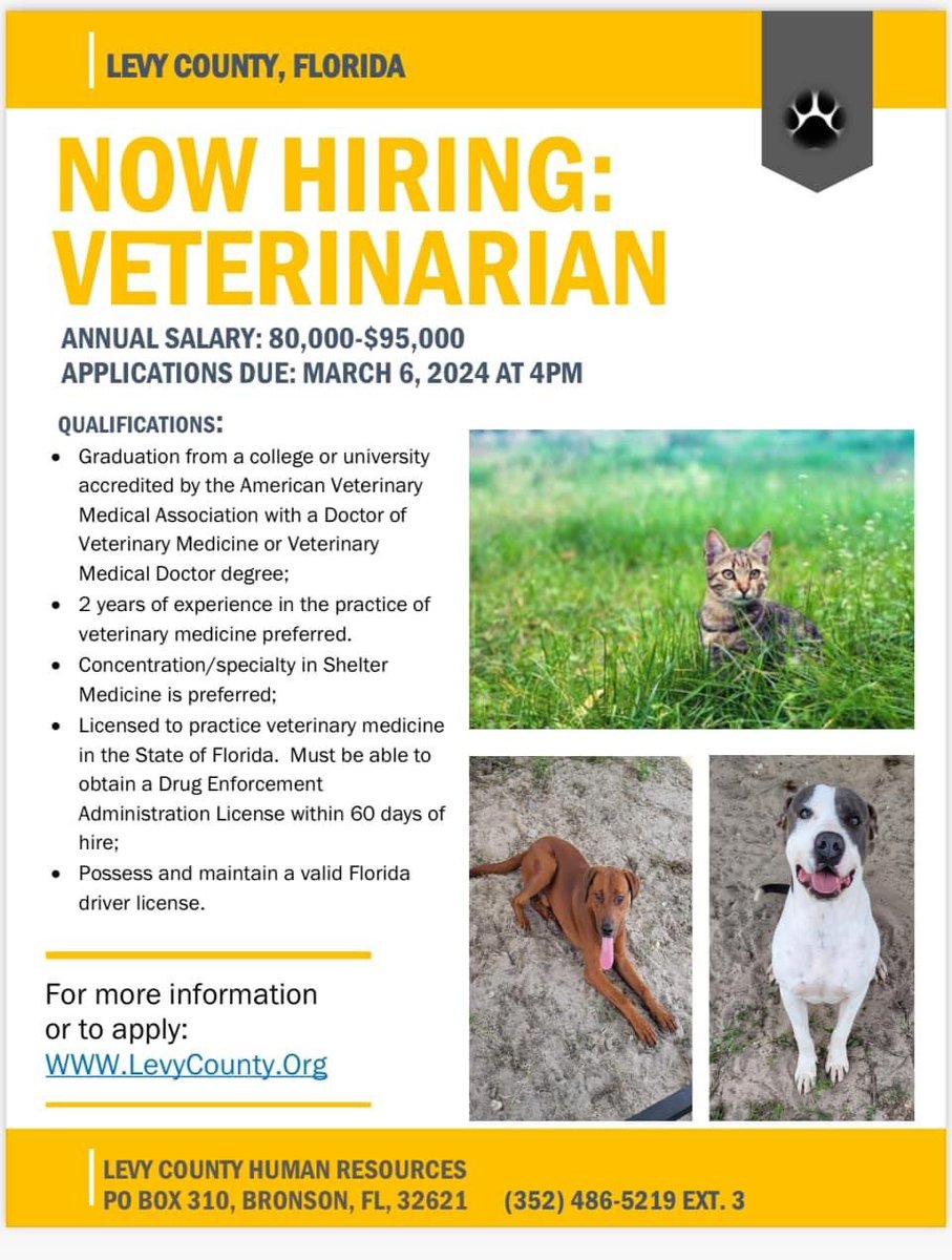 #sheltermedicine Levy County Animal Services is now hiring a veterinarian. levycounty.org