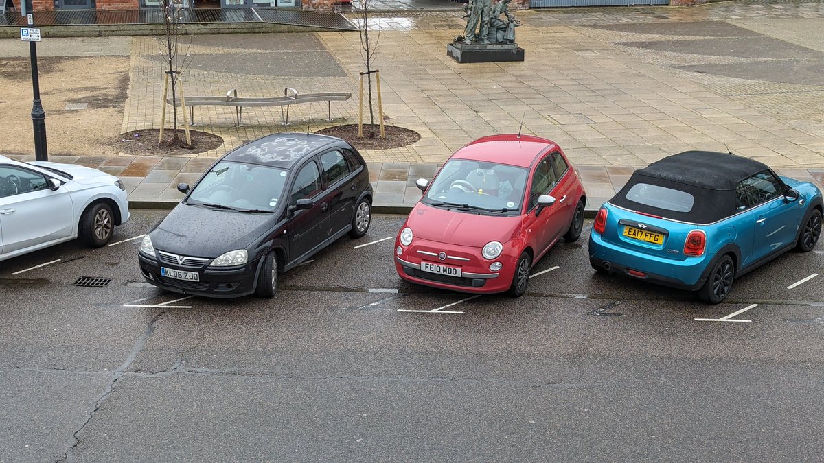 Percival Merganser tweet media