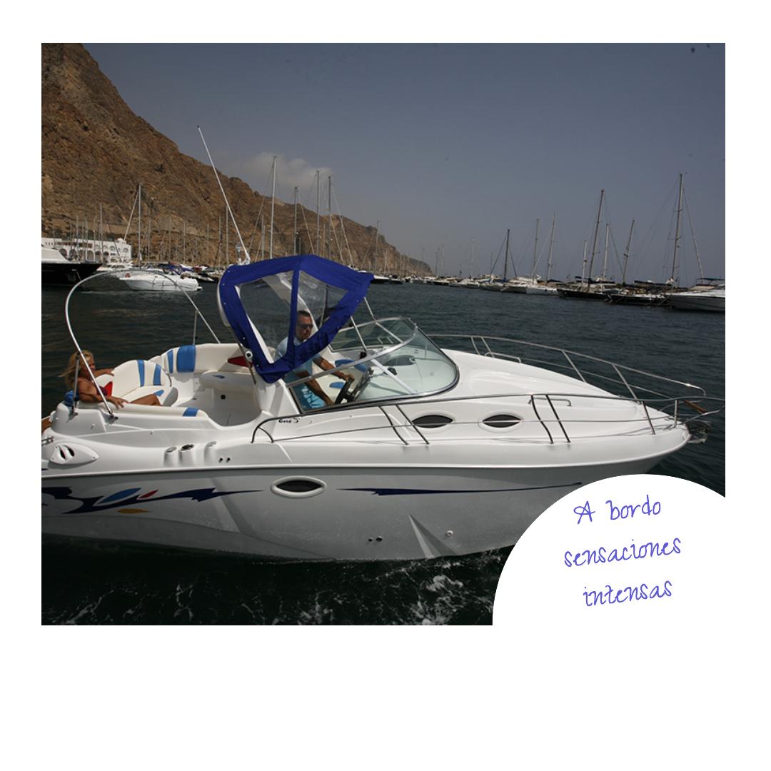 Barcos Lema Boats (@lemaboats) on Twitter photo 