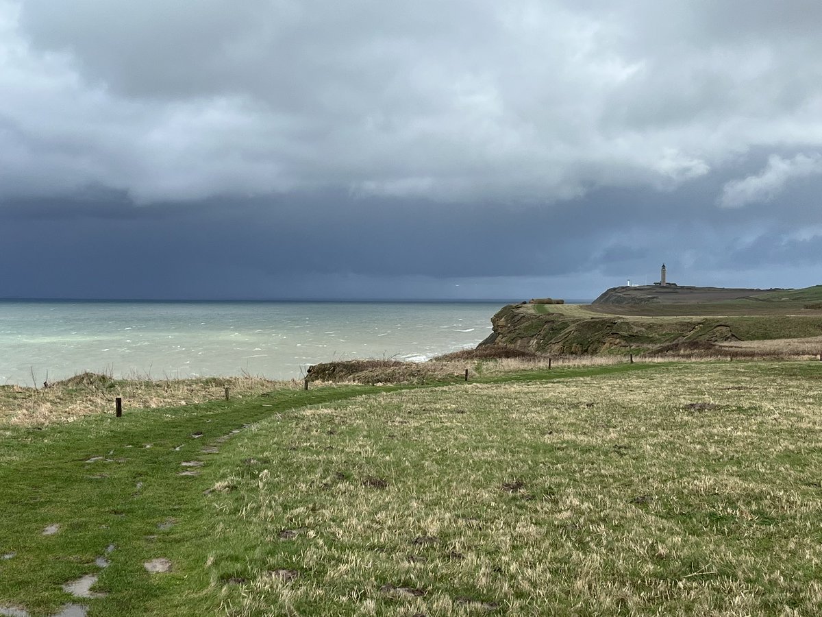 Stijn Steels tweet media