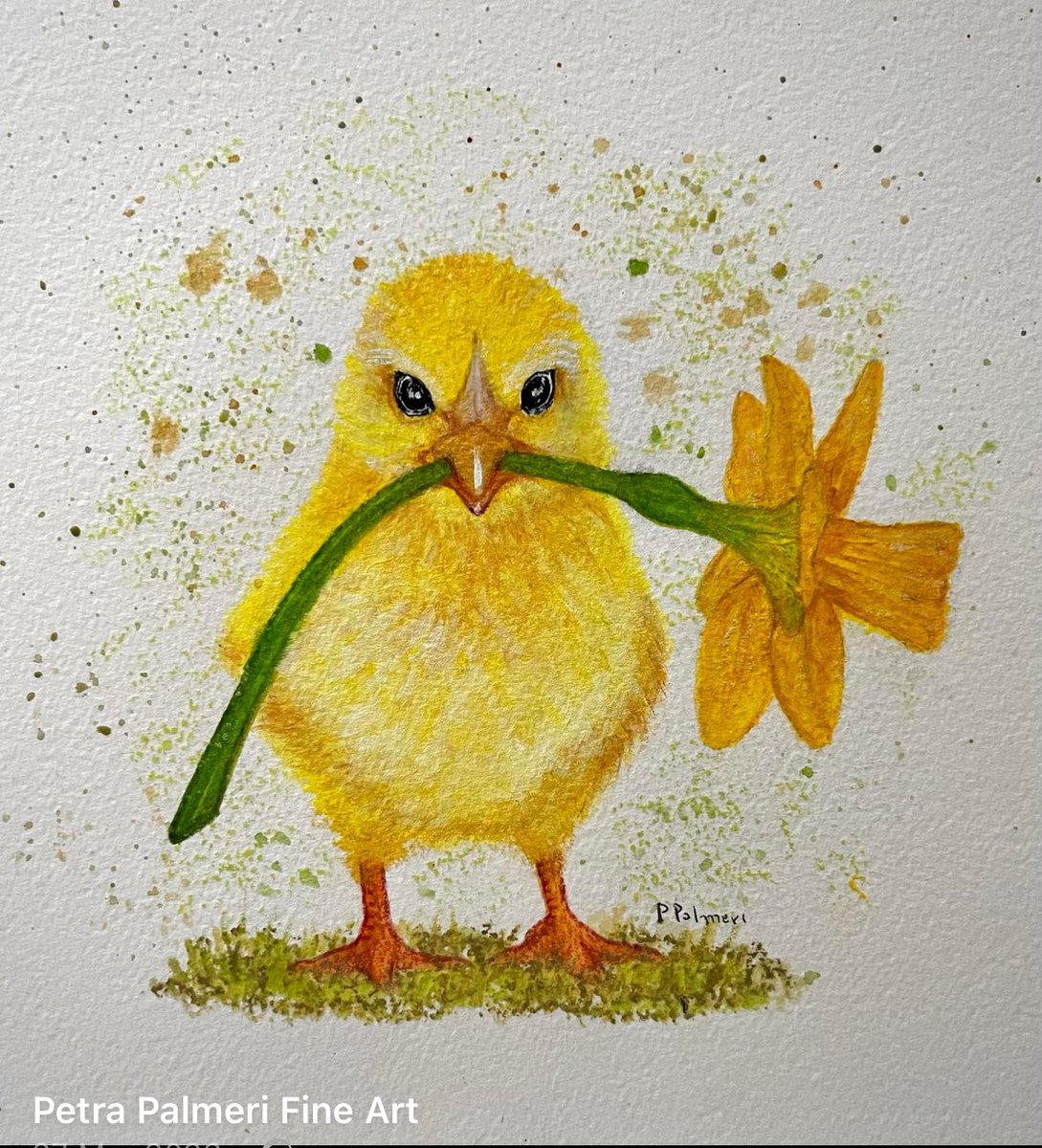 Wishing everyone a happy weekend! 
#cards #greetingcards 
#daffodils #daffodilseason #chicks #petrapalmeriart #fans #followers #watercolourpainting #greetingcarddesign #greetingcardsforsale #guernsey