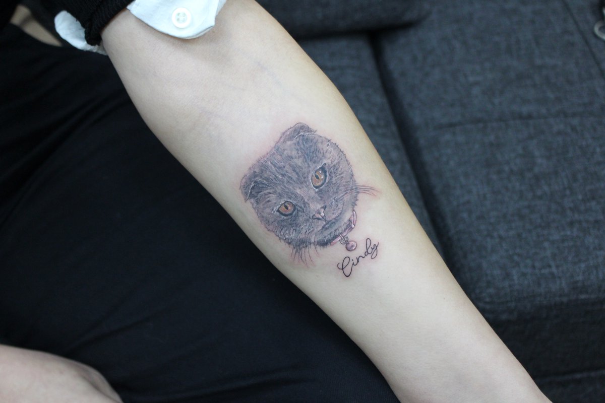 “ The Cat Tattoo “ • #cattattoo #catwoman #kittytattoo #thevaletattoo #adanatattoo