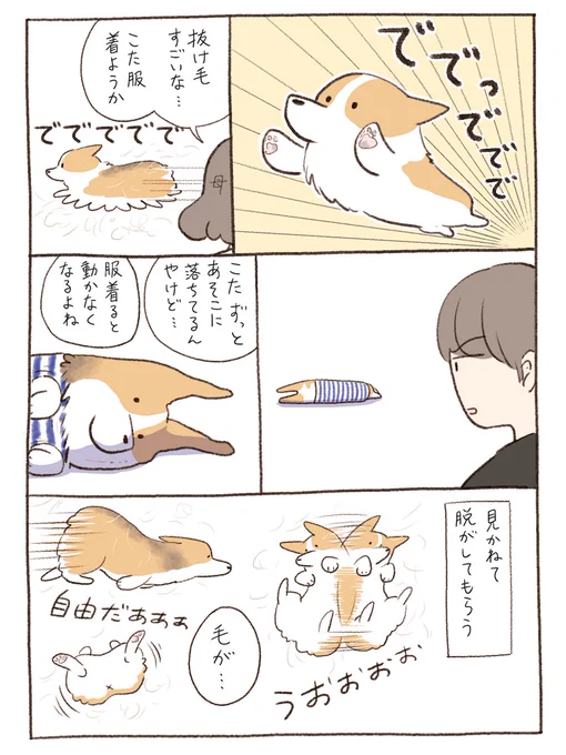 裸一貫 