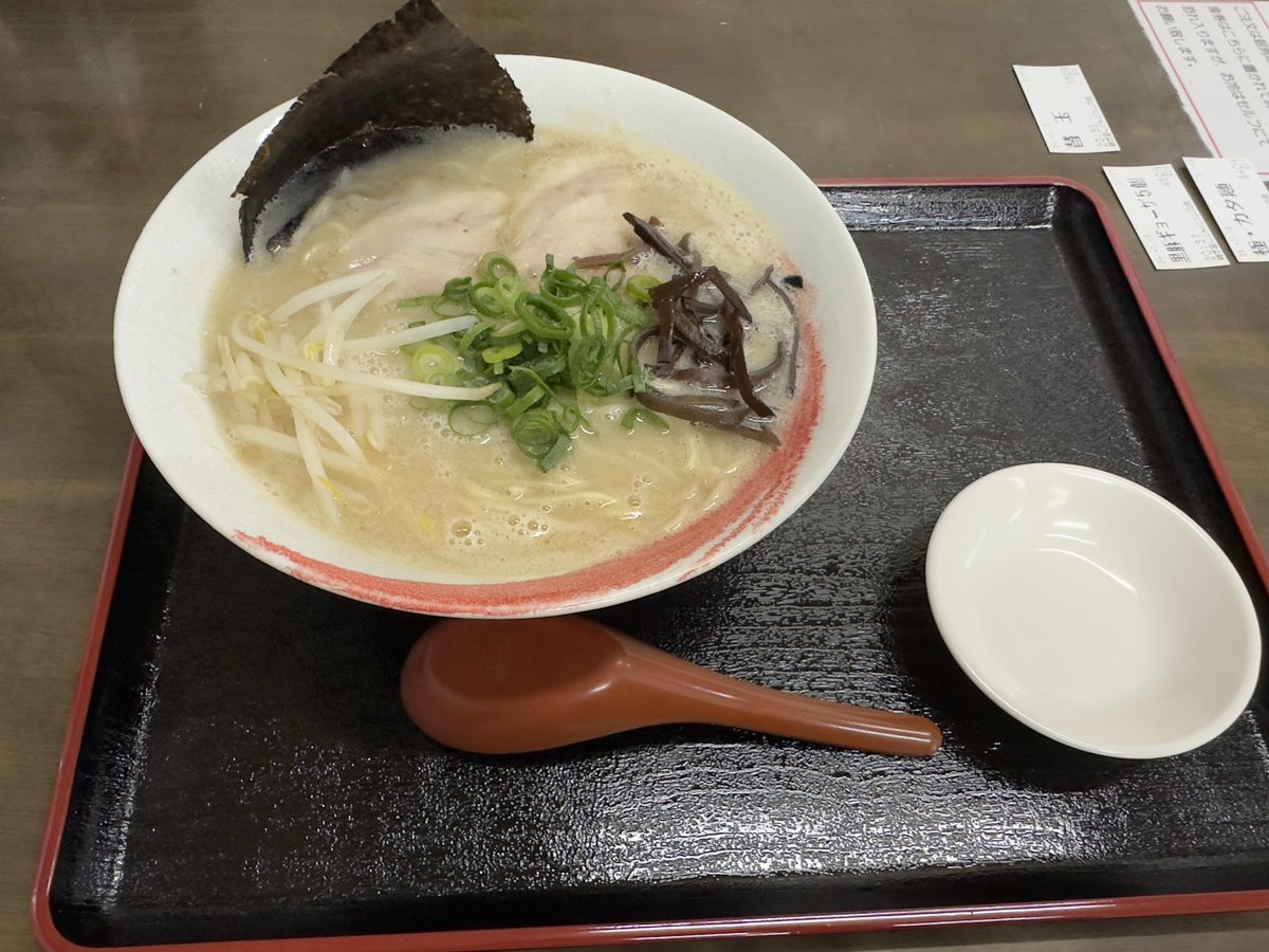 #今日の猫 tweet media