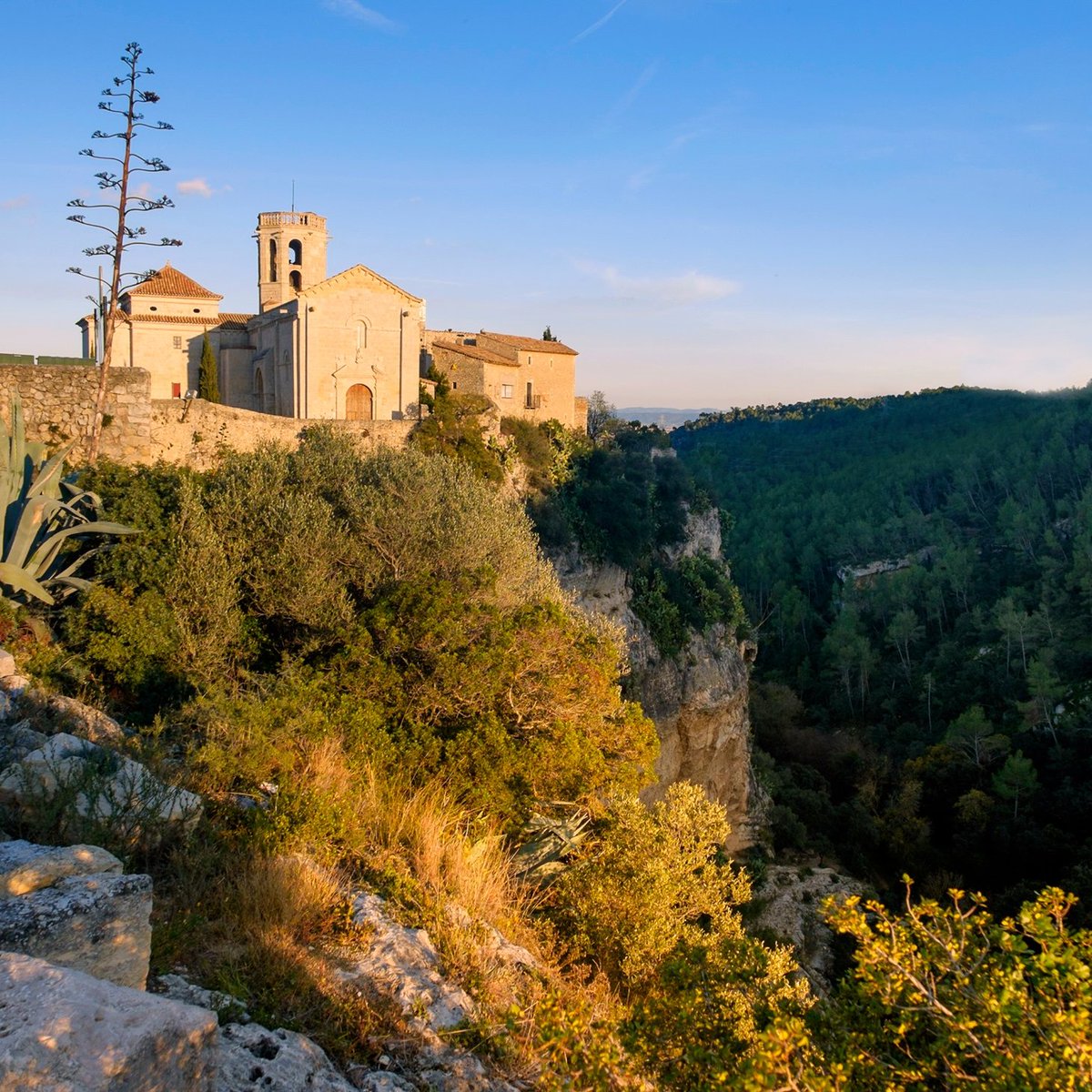 La Carretera del Vi tweet media