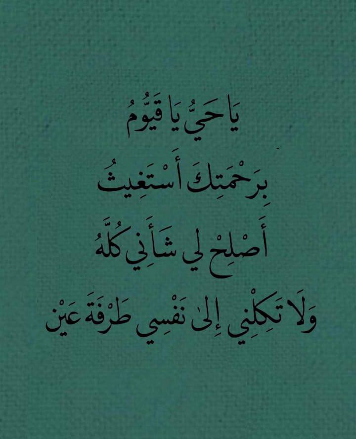 صنديد الأزرق🥈 tweet media
