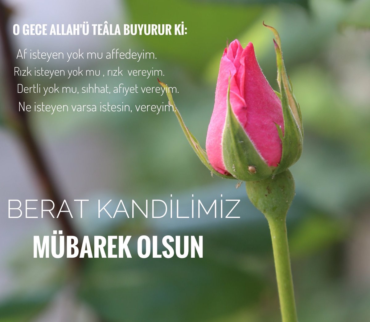 Ataullah HAMİDİ (@ataullahhamidi) on Twitter photo Ramazan ayının müjdecisi #BeratKandili'nin ülkemize, milletimize ve bütün İslam âlemine hayırlar getirmesini temenni ediyorum. 
Rabbim bu mübarek gecede dualarımızı kabul buyursun, birlik ve beraberliğimizi daim kılsın.
#HayırlıKandiller Ramazan ayının müjdecisi #BeratKandili'nin ülkemize, milletimize ve bütün İslam âlemine hayırlar getirmesini temenni ediyorum. 
Rabbim bu mübarek gecede dualarımızı kabul buyursun, birlik ve beraberliğimizi daim kılsın.
#HayırlıKandiller