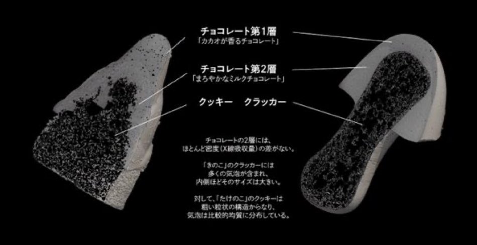 心臓外科医です。
画像を拝見しました。
タケノコの方は中膜の弾性線維は比較的保たれていますが、キノコの方は弾性線維の断裂が目立ちプロテオグリカンが貯留して、いわゆる中膜嚢胞壊死像を呈しています。
キノコは大動脈解離のハイリスクです。