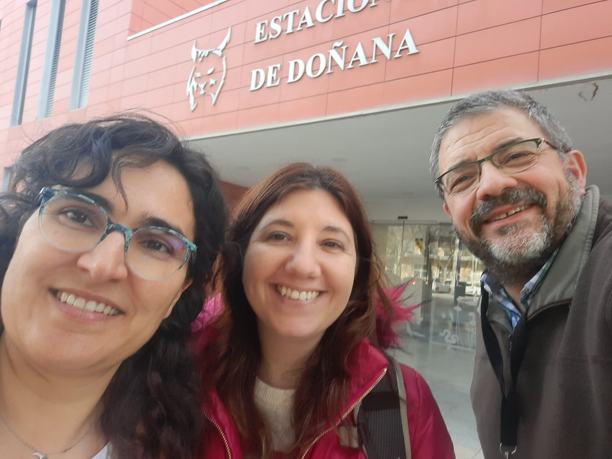 V_Marasco's tweet photo. Had a great time visiting @carles_vila_ebd & Ines Sanchez-Donoso, very interesting research on #EcoEvoDevo #ConservationBio going on there, and great collaborators, thanks for having me @ebdonana https://t.co/f2flqnLcWf