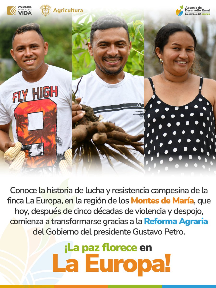 ADR_Colombia's tweet photo. #EspecialMultimedia📹🗞| La historia de la finca La Europa en los #MontesdeMaría, marcada por décadas de violencia y despojo, comienza a transformarse con un proyecto productivo de tecnificación para el cultivo de cáñamo de cannabis. #ReformaAgraria✊🏽
➡️ https://t.co/qvnwzyj8mI https://t.co/jv8ejVZu1O