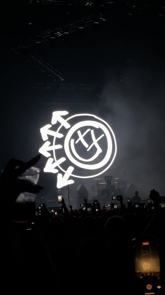 Saw blink-182 tonight and cried, wbu?, image size:675x1200