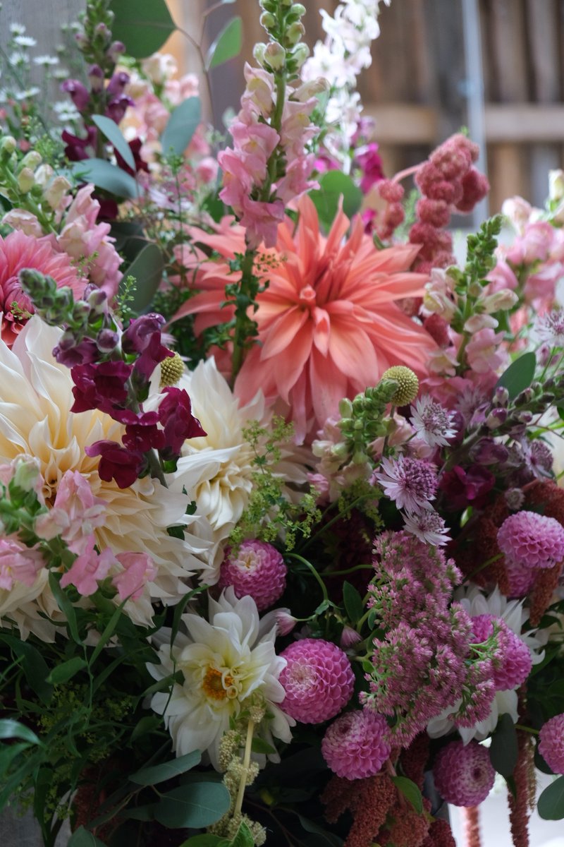 Roisin - Verde Flower Co 🌸 tweet media