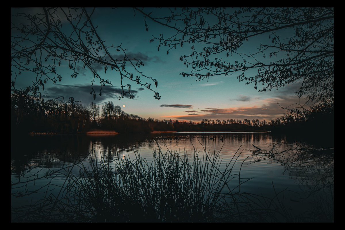 Branton Lakes Moon Rising… 🌝 . @discovernland @NorthEastTweets @alnwickgazette @landscapePhotography #landscapephotography #northumberland